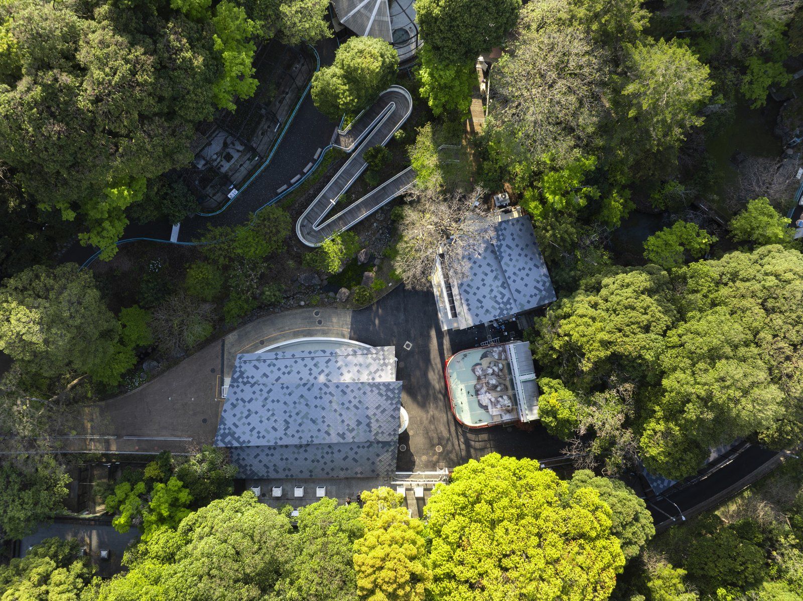 ドローン空撮 — 野毛山動物園 真俯瞰(横浜・2024)